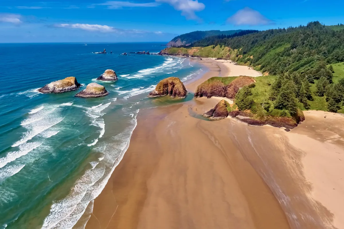 A vibrant coastal scene featuring rocky outcroppings, sandy shores, crashing waves, and lush green foliage. The landscape hints at tide pools and natural areas ready for exploration and adventure.